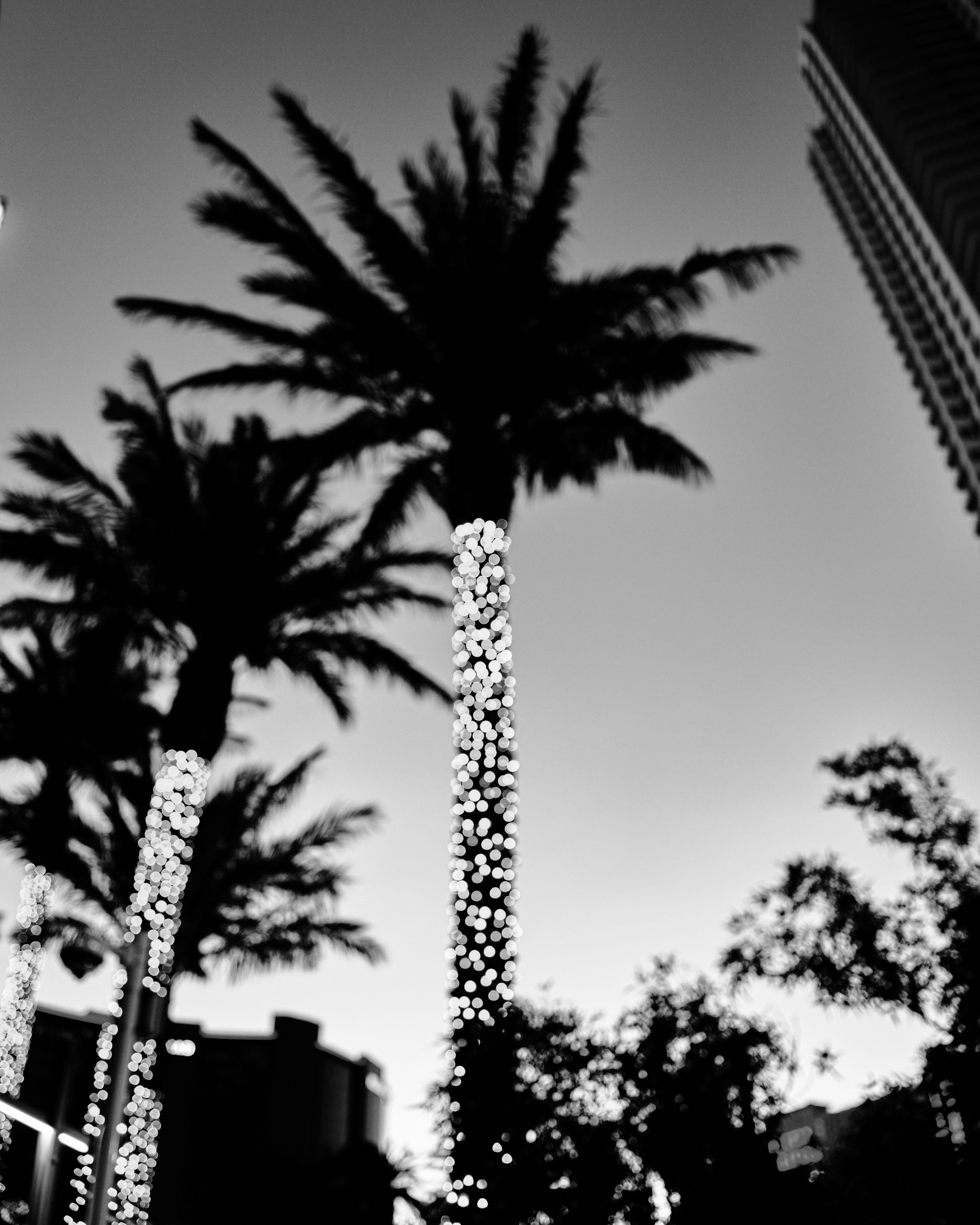 Fontainebleau Las Vegas